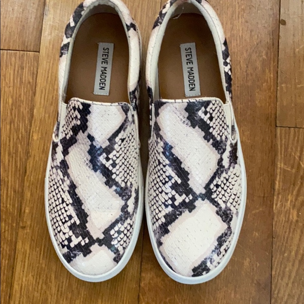 Steve Madden snake sneaker